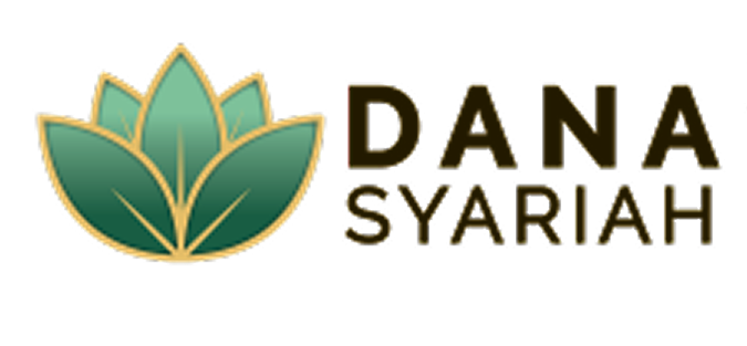DSI Logo